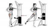 Cable hip abduction (version 2)