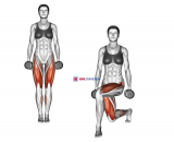 Dumbbell Curtsey lunge