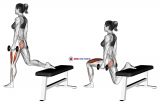 Dumbbell one leg squat