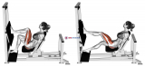 Lever Horizontal One leg Press