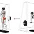 Dumbbell Incline One Arm Press on Exercise Ball
