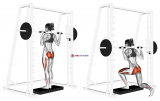 Smith rear lunge (version 2)