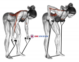 Band bent-over row