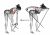 Band bent-over rear lateral raise