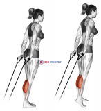 Band calf raise