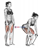 Band deadlift