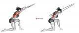 Band kneeling pulldown