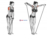 Band lateral raise