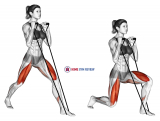 Band Lunges