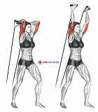 Band overhead triceps extension