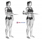 Band standing external shoulder rotation