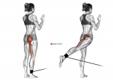 Band standing hip extension