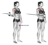 Band standing internal shoulder rotation