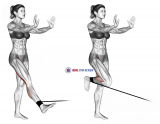 Band standing leg curl