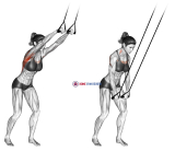 Band straight-arm pulldown