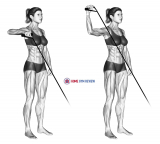 Band Upright Shoulder External Rotation