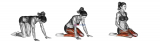 Hero Pose Virasana