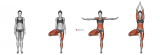 Tree Pose Vrksasana