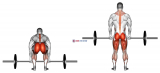Barbell Deadlift back view