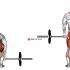 Barbell Deadlift front view