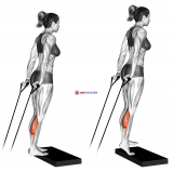 Band calf raise (version 2)