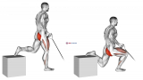 Band One Arm Single Leg Split Squat