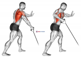 Band one arm Standing Low Row