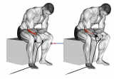 Band reverse wrist curl