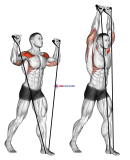 Band shoulder press