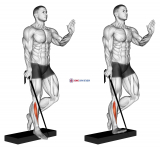 Band single leg reverse calf raise