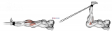 Band Lying Straight Leg Raise