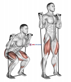Band squat