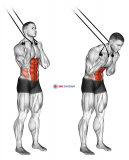 Band standing crunch