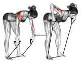 Band rear delt row