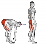 Band stiff leg deadlift