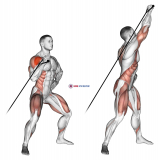 Band twisting overhead press