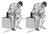 Band wrist curl