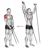Band Y-raise