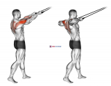 Band standing rear delt row