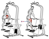 Assisted Single Leg Press