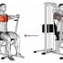 Assisted Standing Triceps Dip