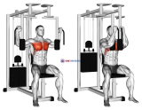 Lever Pec Deck Fly