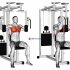 Lever Parallel Chest Press