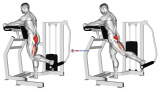 Lever Standing Hip Extension
