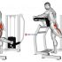 Lever Alternate Biceps Curl