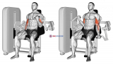 Lever Alternate Biceps Curl