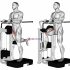 Lever Side Hip Adduction