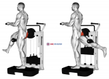 Lever Standing Rear Kick