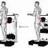 Lever Standing Leg Raise