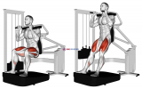 Lever Chair Squat